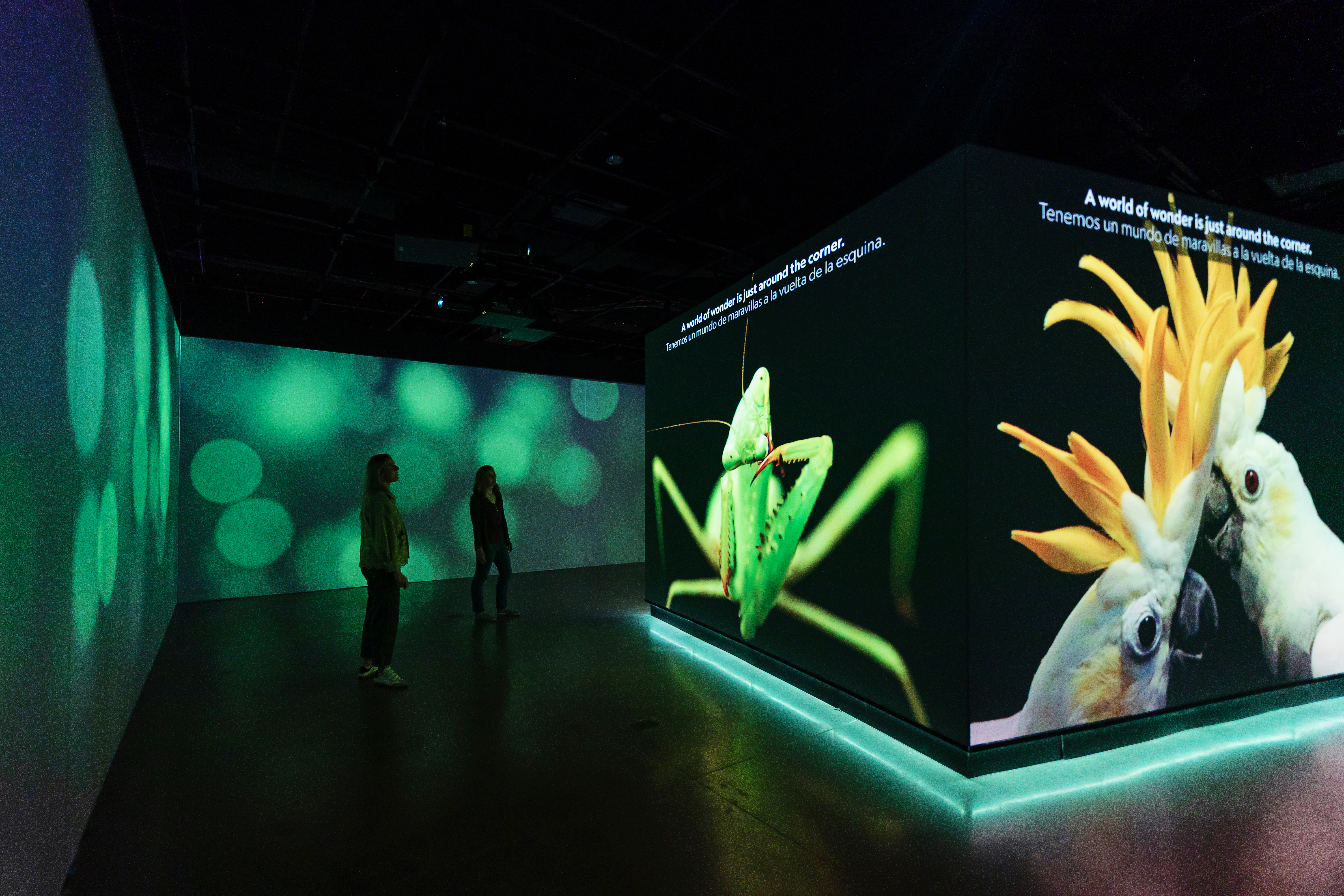 Exhibitions & Experiences | National Geographic Museum